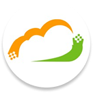 Software Engineer Organization